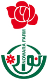 Nowara-logo9
